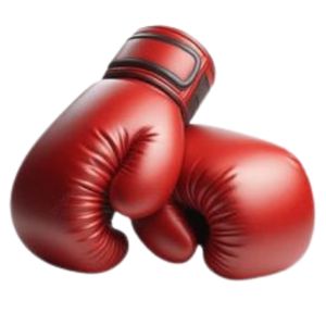 Boxing Gloves